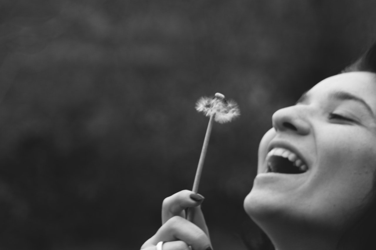 adult-black-and-white-close-up-dandelion-403448